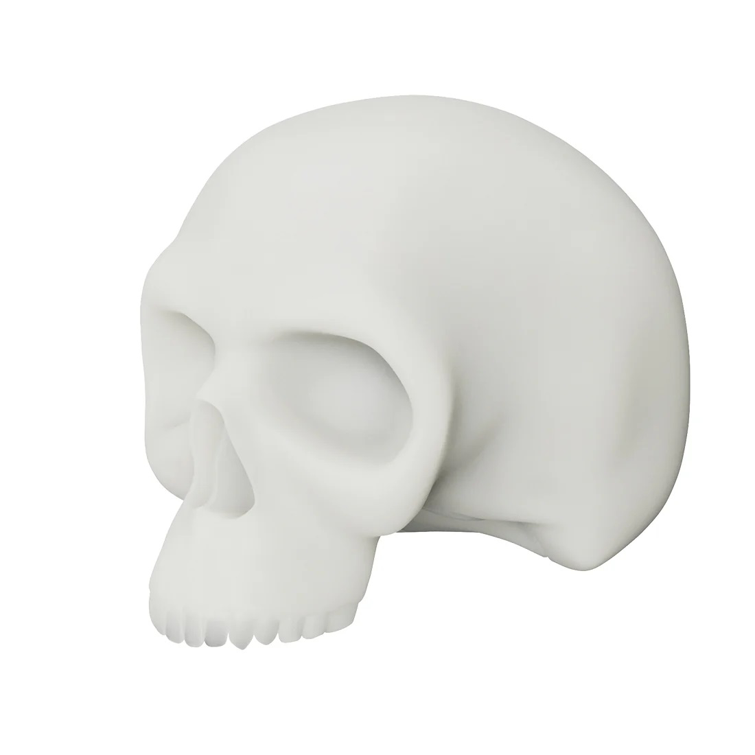 SKULL TESCHIO